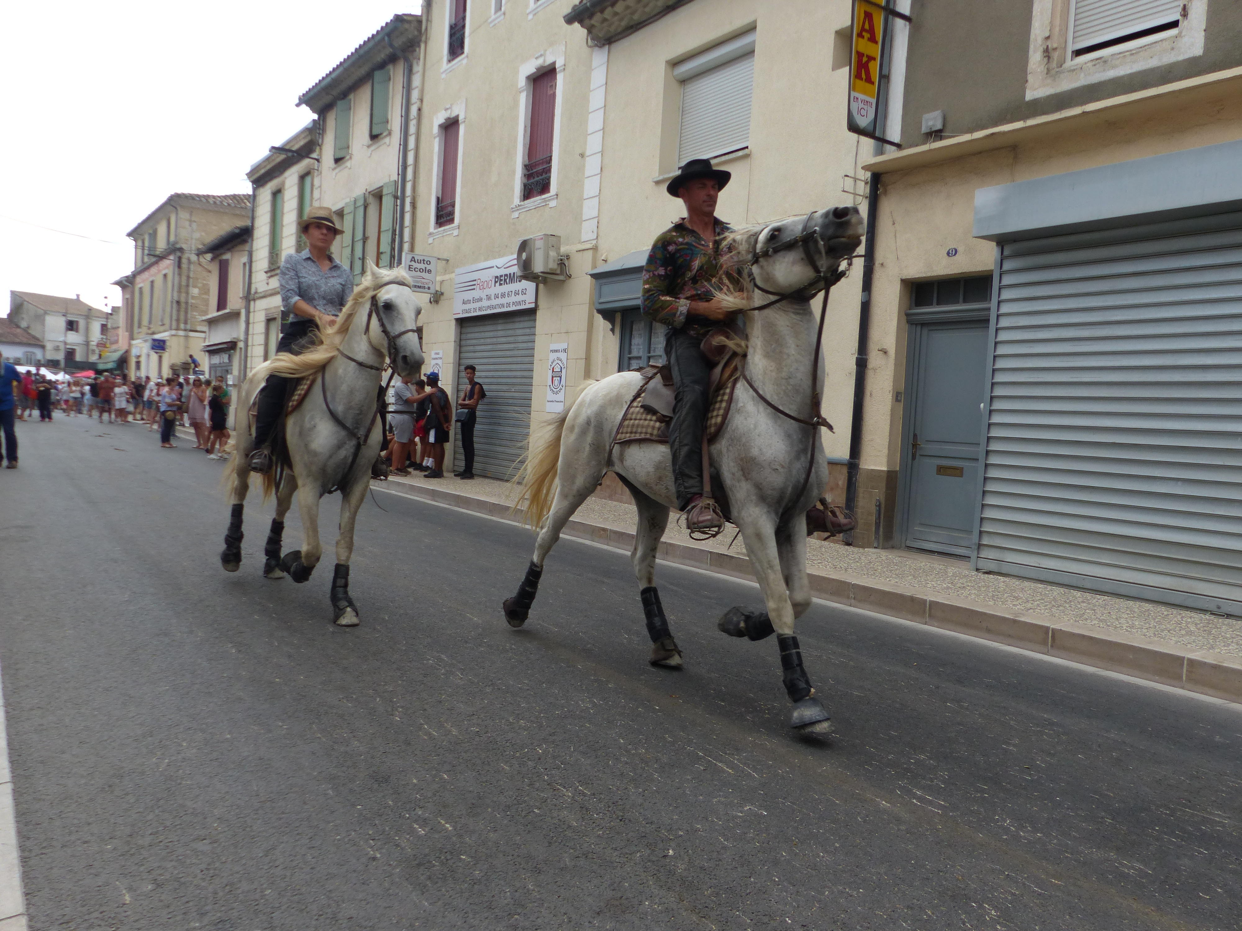 The Camargue herdsmen: discovering the authentic cowboys of the south of France