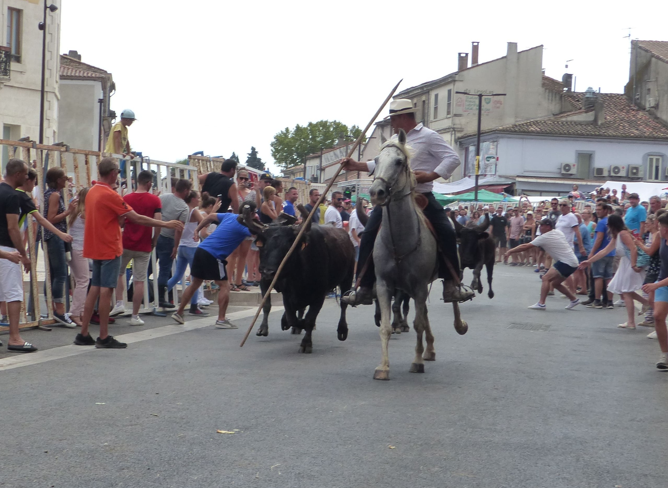 Le trident (ou fichoir), l'outil emblématique du gardian