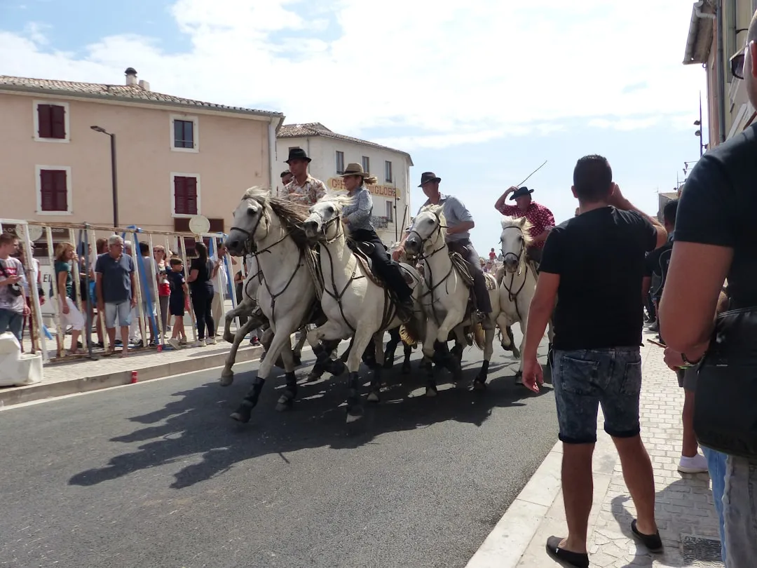 Pourquoi la Camargue est le véritable French Wild West