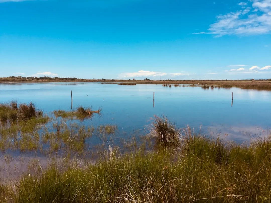 L'avenir de la Camargue face au changement climatique