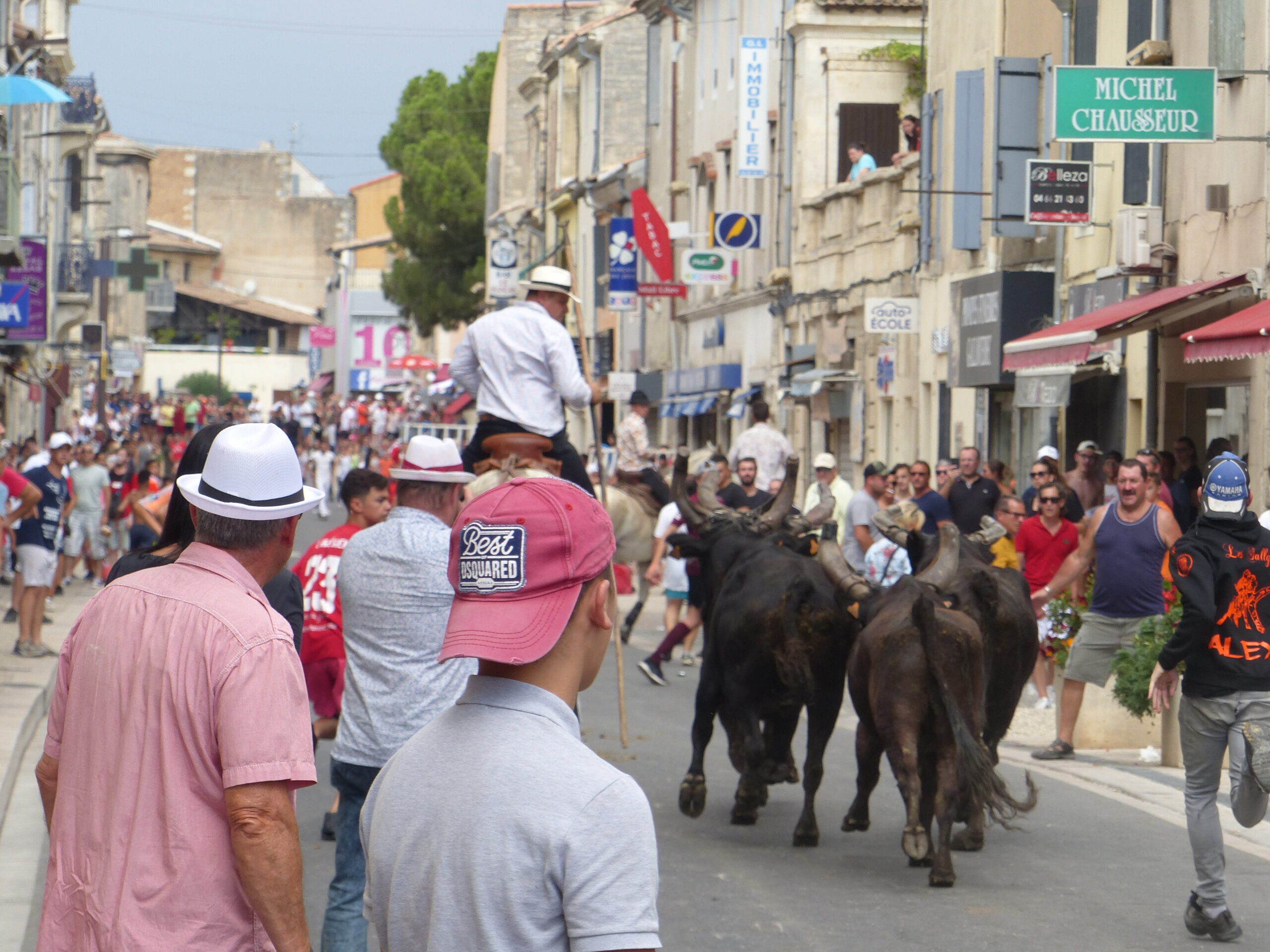 Lors de la fête votive de Saint-Gilles en Camargue, des taureaux et une ambiance populaire dans les rues.